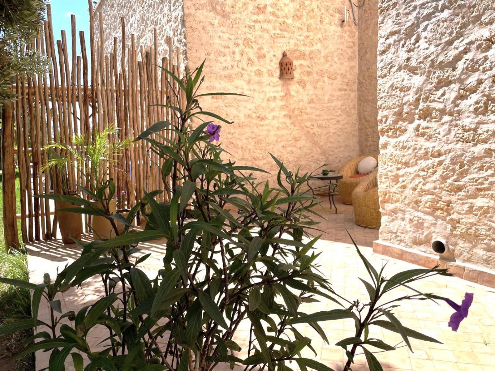 Riad Sabidi Essaouira Exterior photo